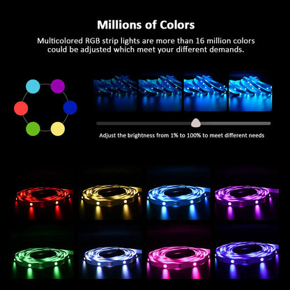 (EU Plug) LED Strip Light RGB 5050 Music Sync Color Changing  Sensitive Built-in Mic, App LED Lights DC12V Flexible