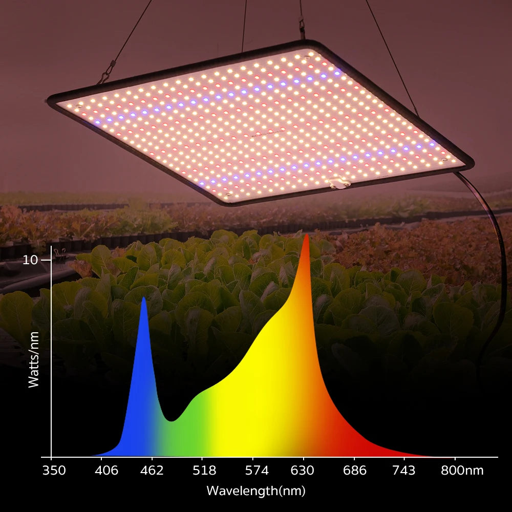 LED Grow Light Full Spectrum Phyto Lamp AC85-240V 40W  For Indoor Grow Tent Plants Growth Light